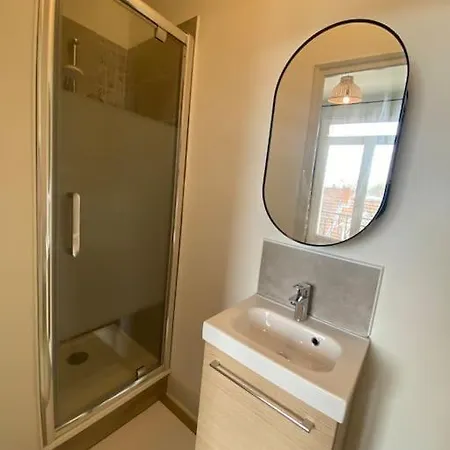 T1 Quartier Des Thermes Le Cygne 11 Apartment *